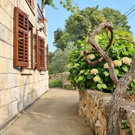 Studio Airport Dubrovnik Cilipi Ngoại thất bức ảnh