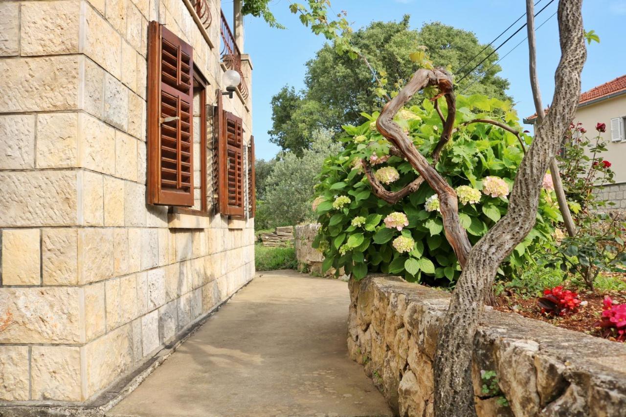Studio Airport Dubrovnik Cilipi Ngoại thất bức ảnh