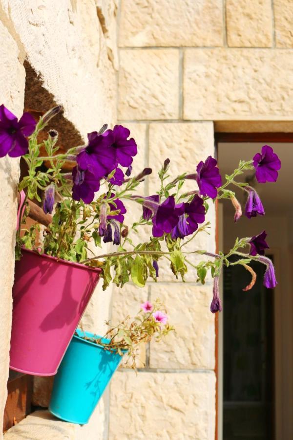 Studio Airport Dubrovnik Cilipi Ngoại thất bức ảnh