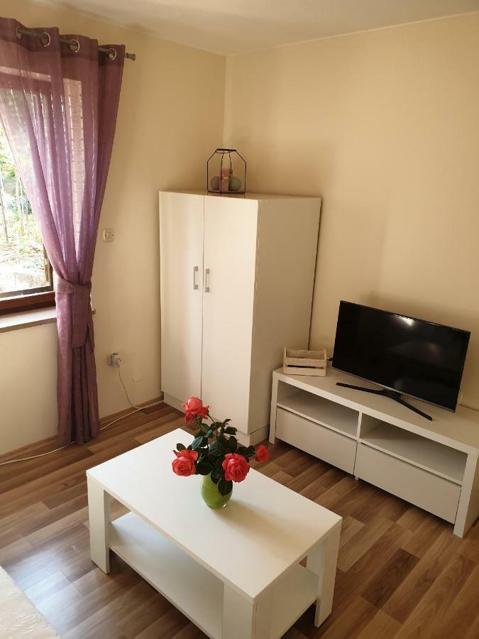 Studio Airport Dubrovnik Cilipi Ngoại thất bức ảnh